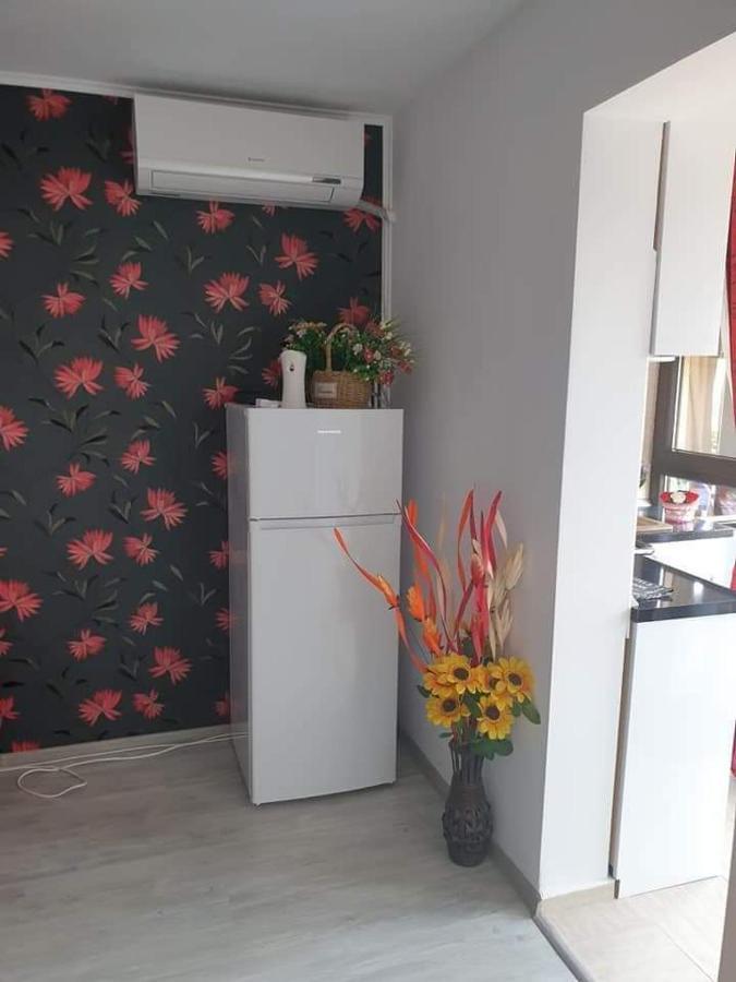 Apartament Alina Saturn Exterior foto